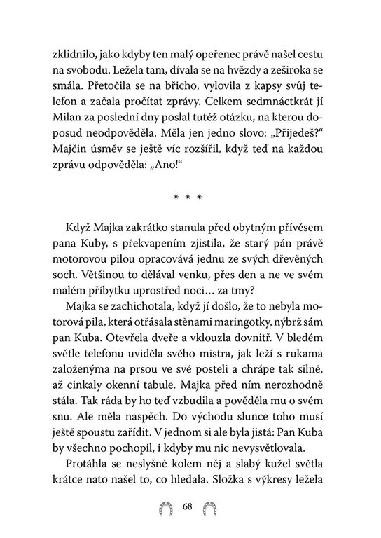 Rychlý jako vítr: Bojovnice Ari 