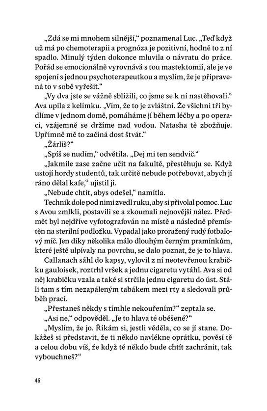 Dokonalá lítost
