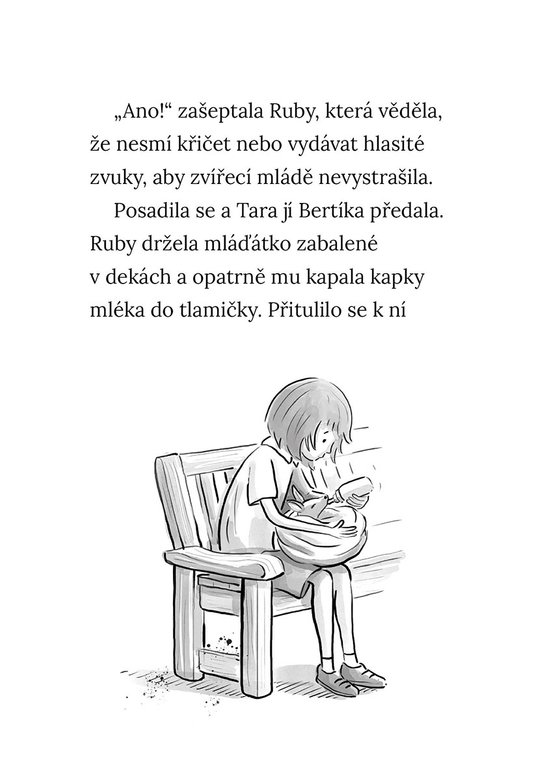 Osiřelá koala