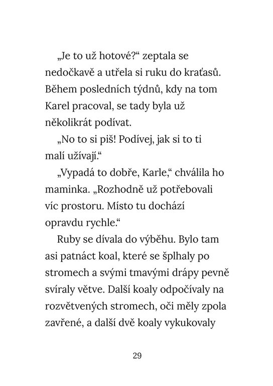 Osiřelá koala