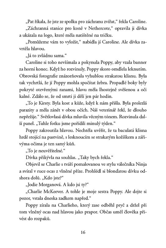 Poníci od stříbrné řeky – Dům na vřesovišti