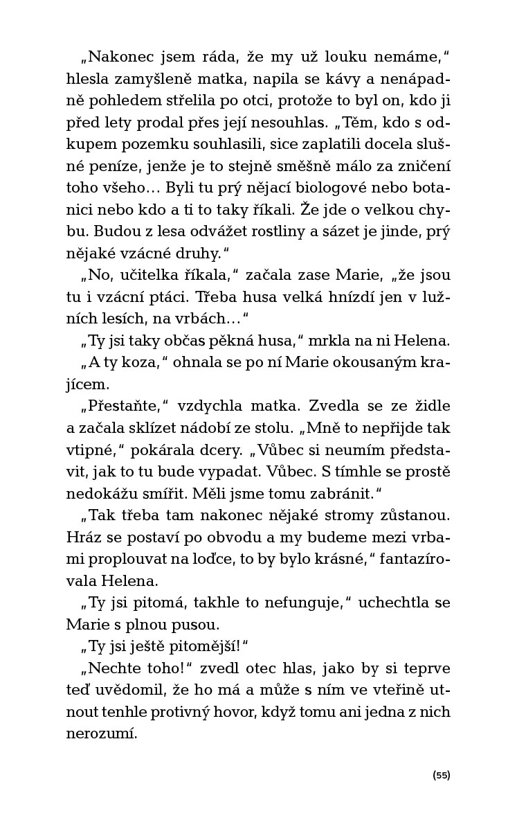 Chmýří pampelišky