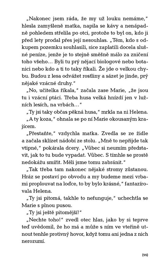 Chmýří pampelišky