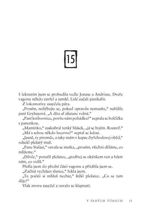 V šedých tónech
