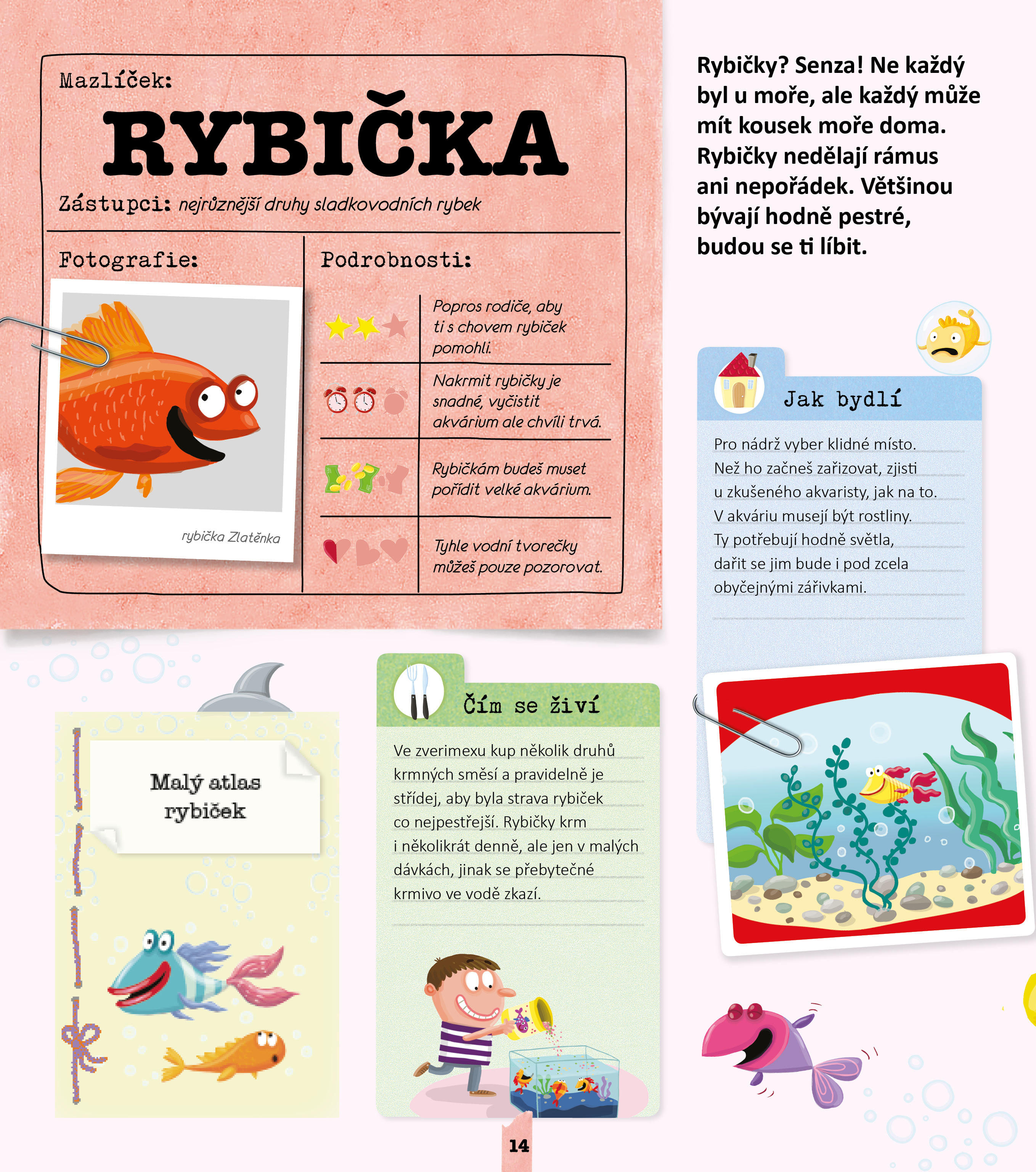 Vyber si svého mazlíčka a nauč se o něj starat