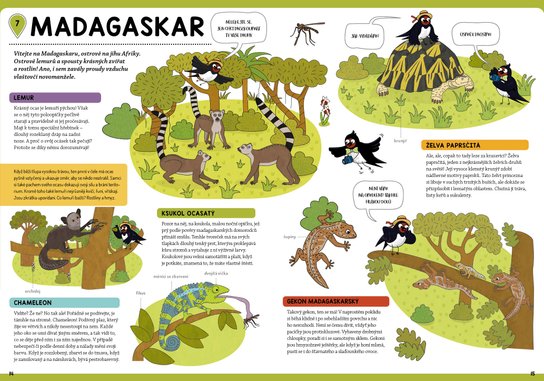 Poznej divoká zvířata z vlaštovčí perspektivy