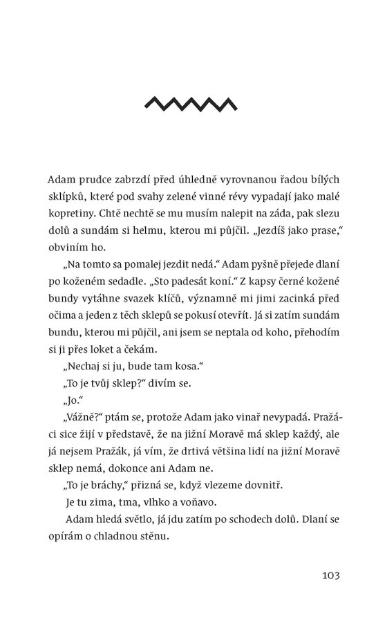 Veselí (brož.)