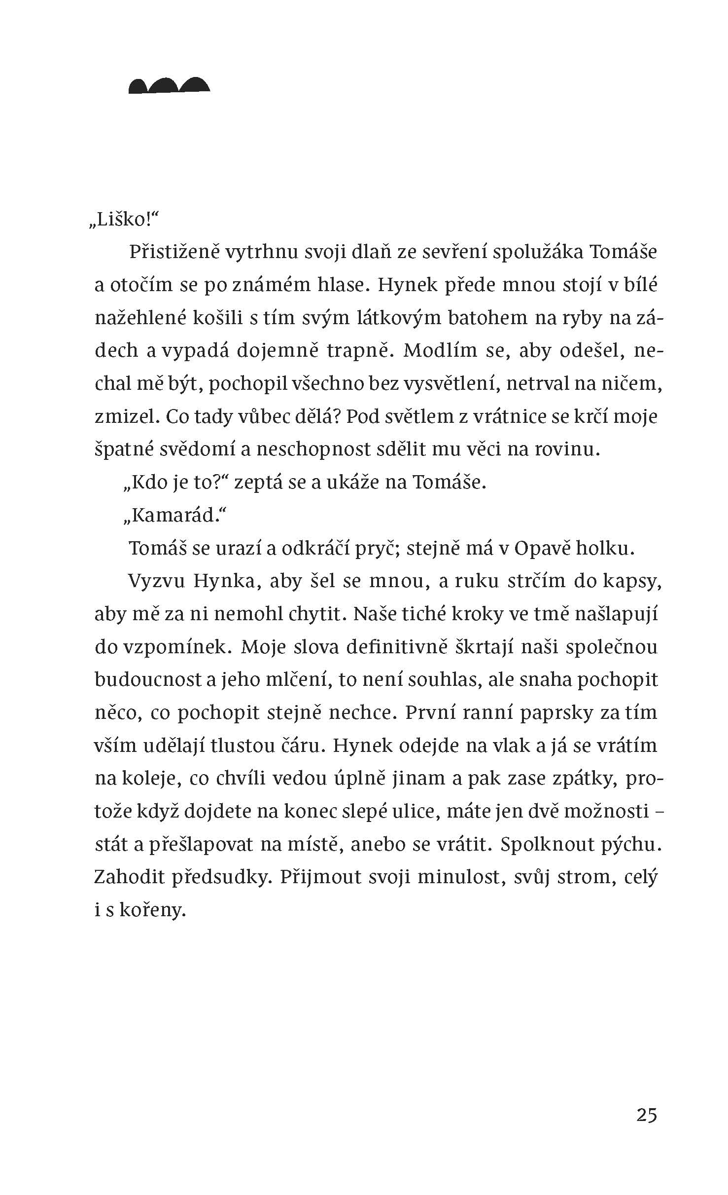 Veselí (brož.)
