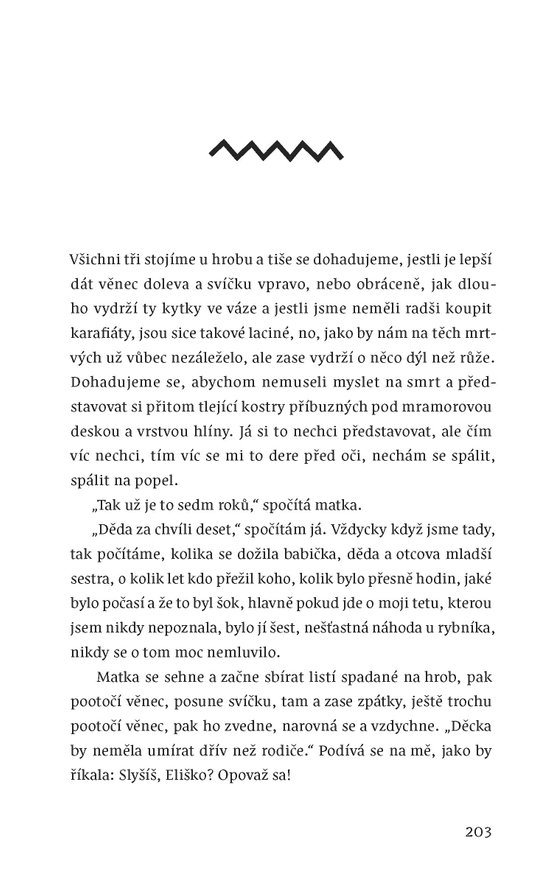 Veselí (brož.)