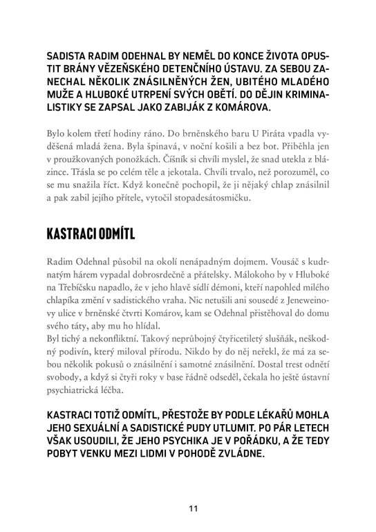 Skutečné zločiny v Brně a okolí