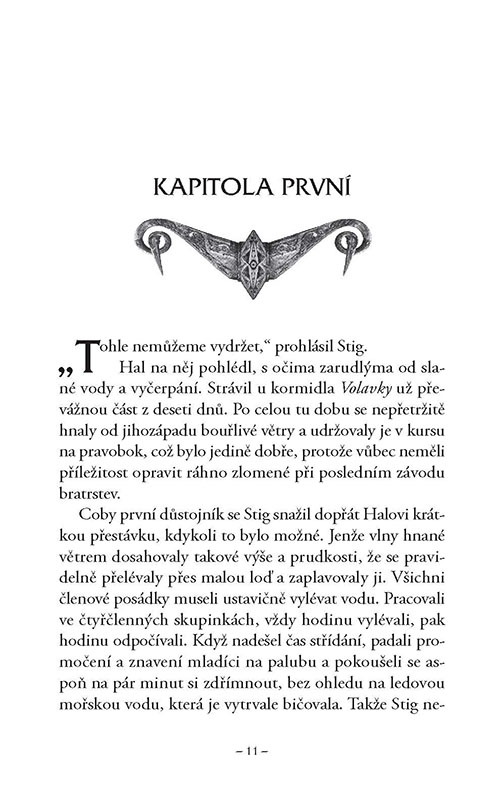 Bratrstvo - Kniha druhá - Nájezdníci