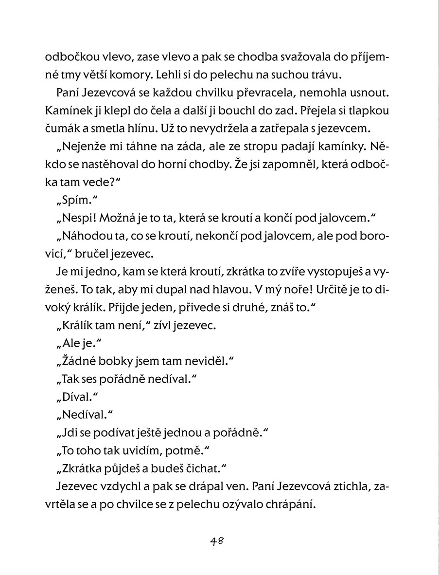 Pan Ředkvička a vesmírné úvahy, které končí boulí 