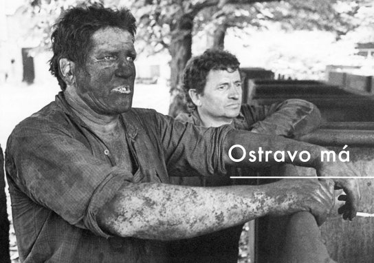 Normalizované životy II