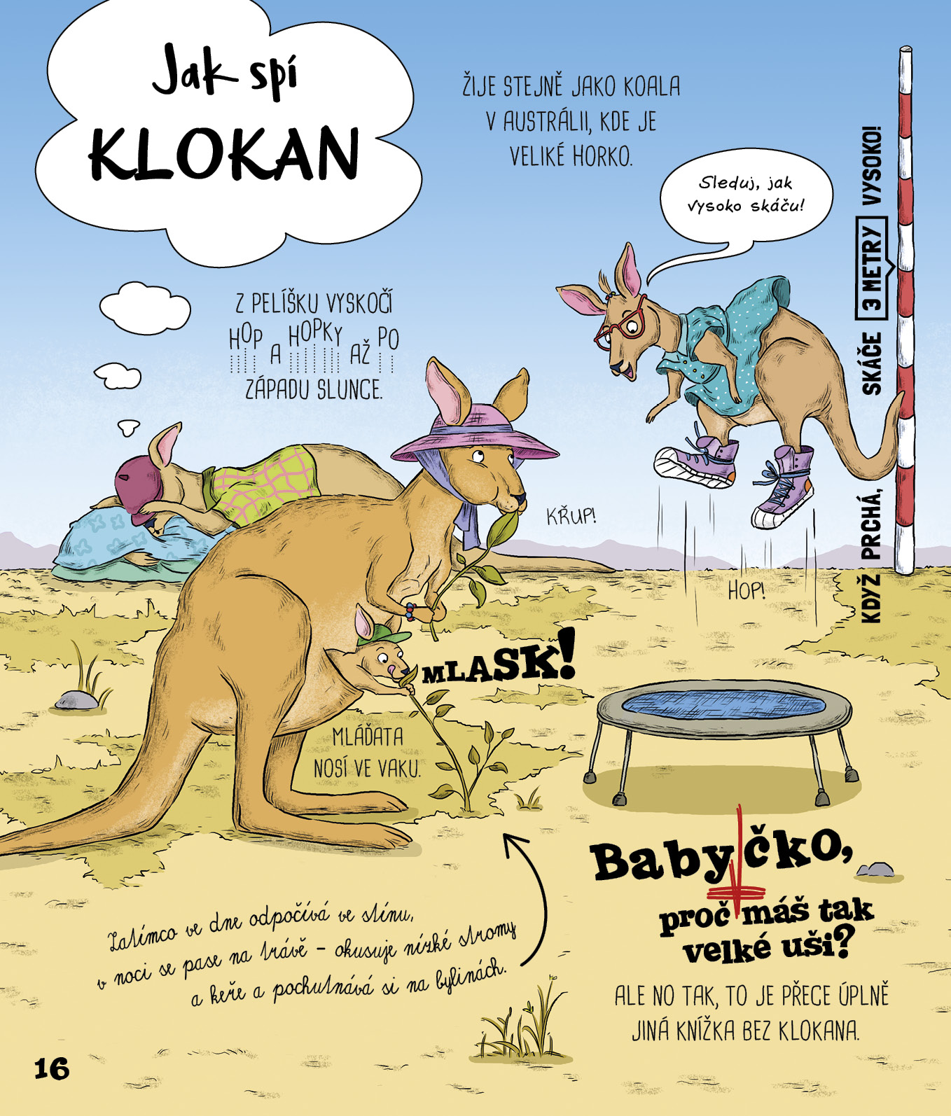 Jak zvířata spí