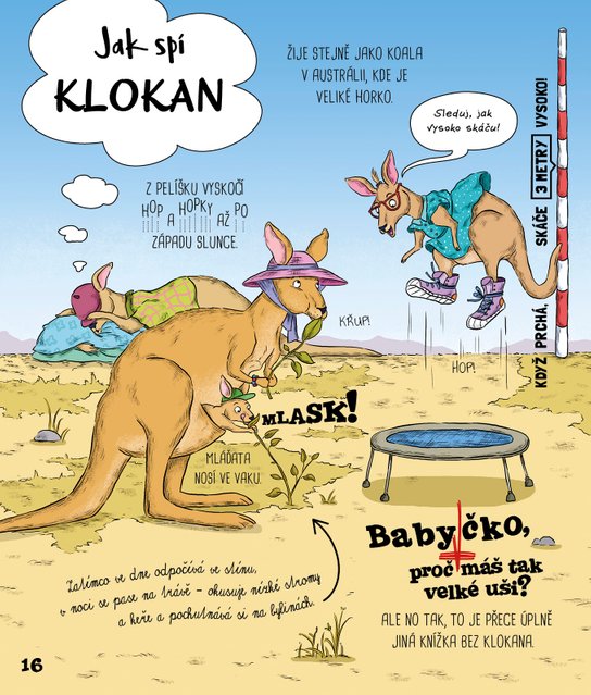 Jak zvířata spí