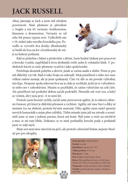 Psi - Příběhy z celého světa