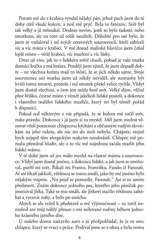 Kočičí dotek 