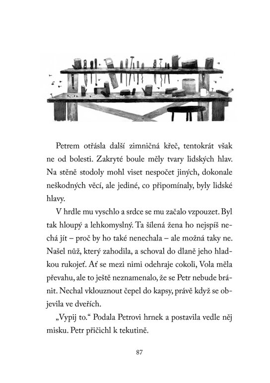 Pax, můj liščí přítel