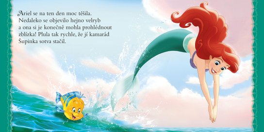 Princezna - Moje první knihovnička
