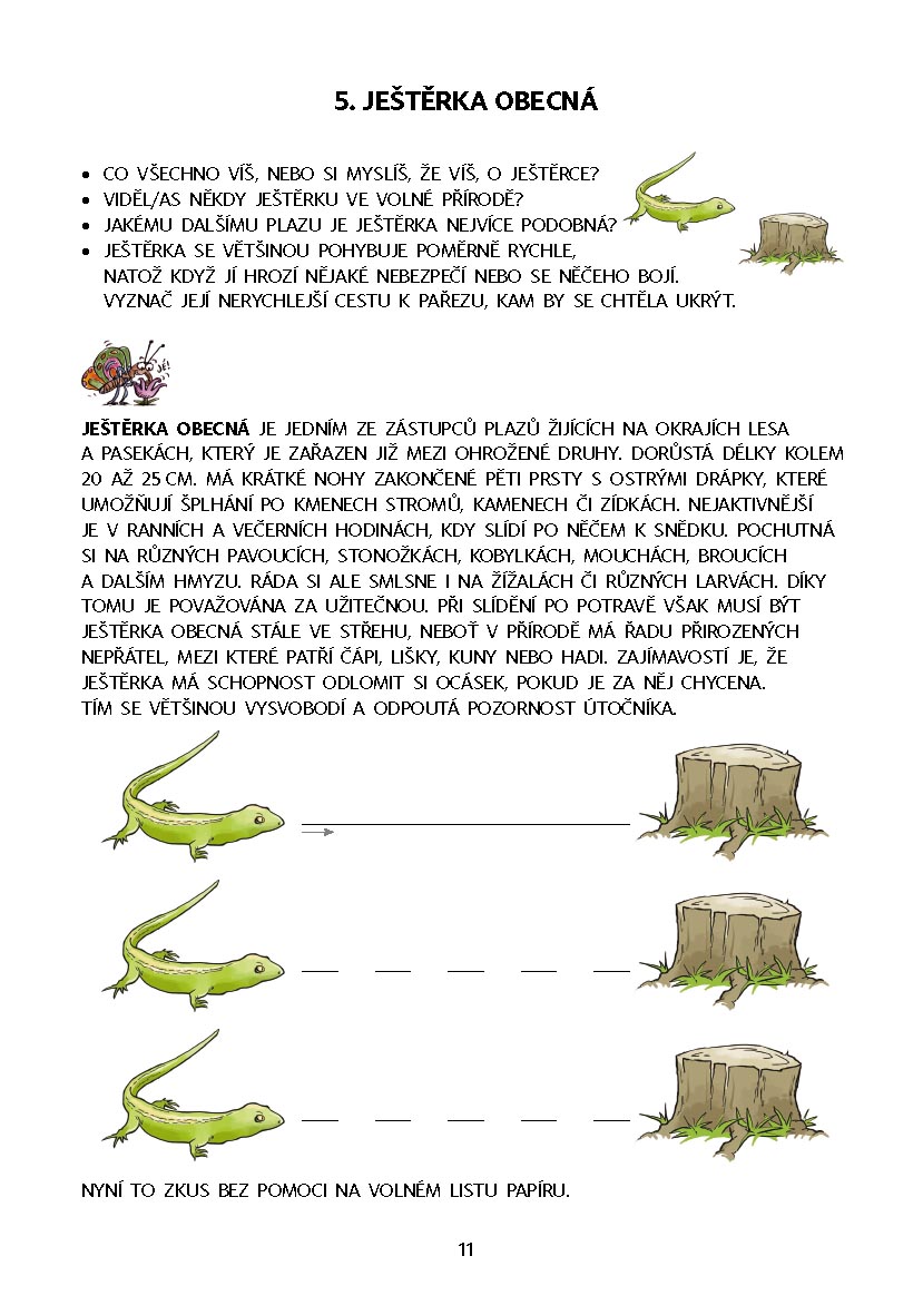 Dysgrafie pro 4.-5. ročník ZŠ