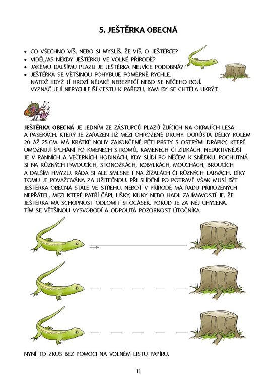 Dysgrafie pro 4.-5. ročník ZŠ