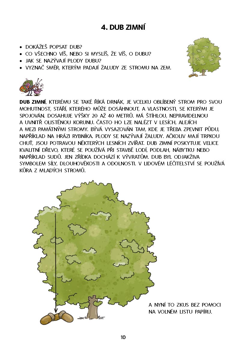 Dysgrafie pro 4.-5. ročník ZŠ