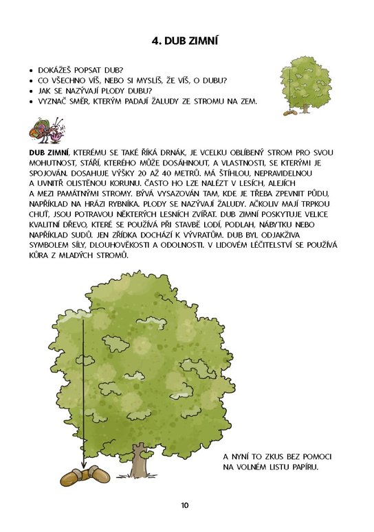 Dysgrafie pro 4.-5. ročník ZŠ