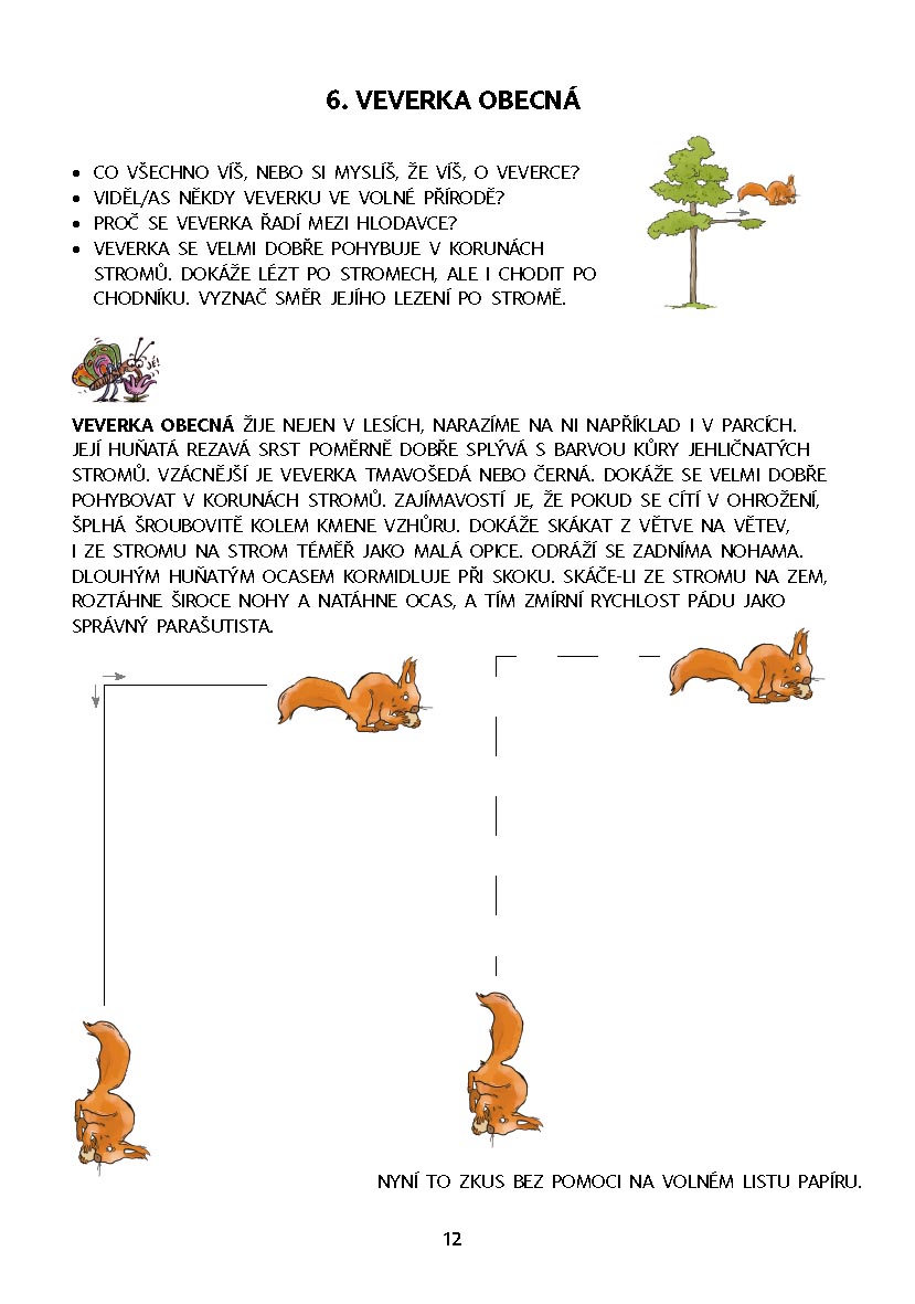Dysgrafie pro 4.-5. ročník ZŠ