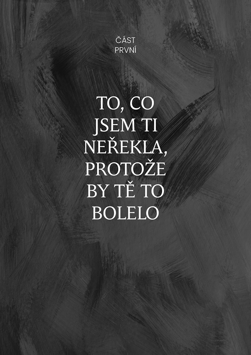 Věci, které jsem ti nikdy neřekla