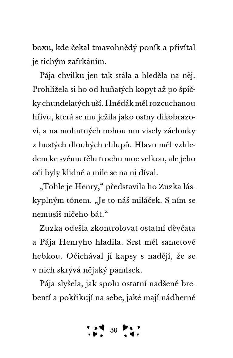 Stáje ve Slunečném údolí – Pája a vysněný poník