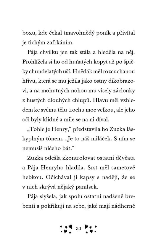 Stáje ve Slunečném údolí – Pája a vysněný poník
