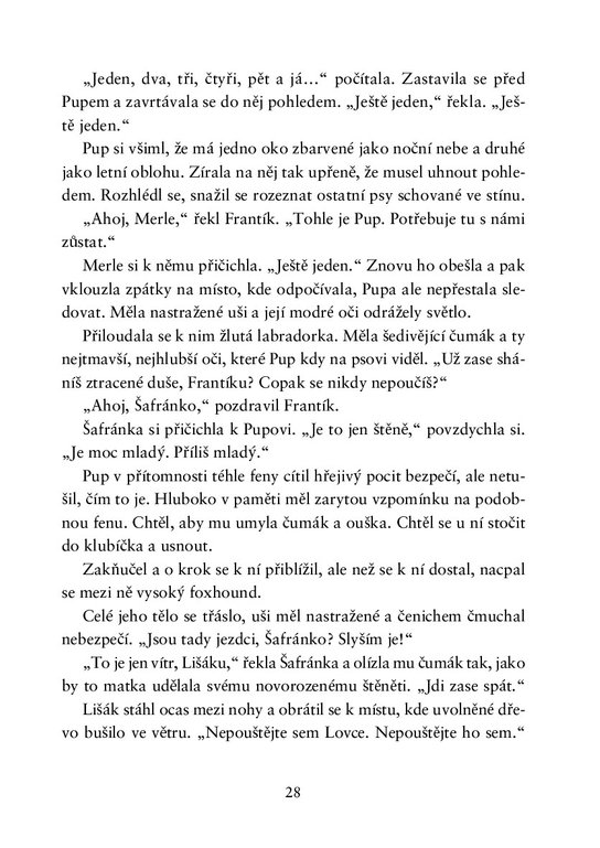 Tulák jménem Pup