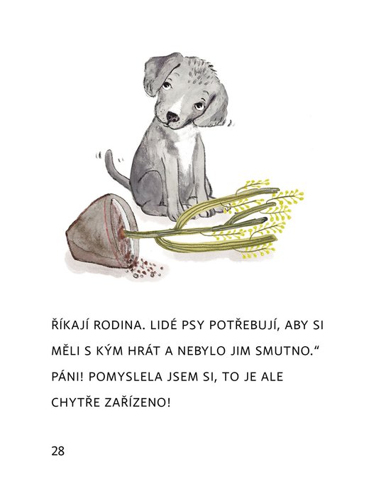 Zprávy z pelíšku 