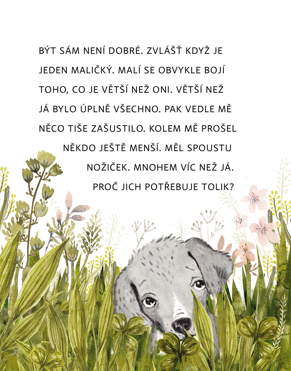 Zprávy z pelíšku 