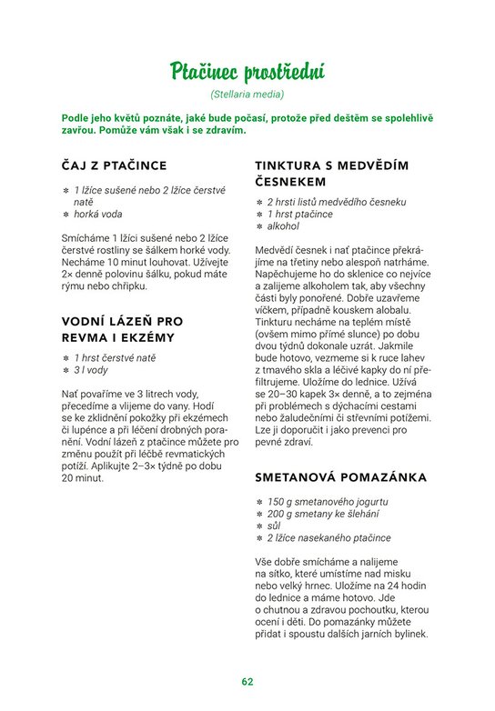 Bylinkopedie v kuchyni