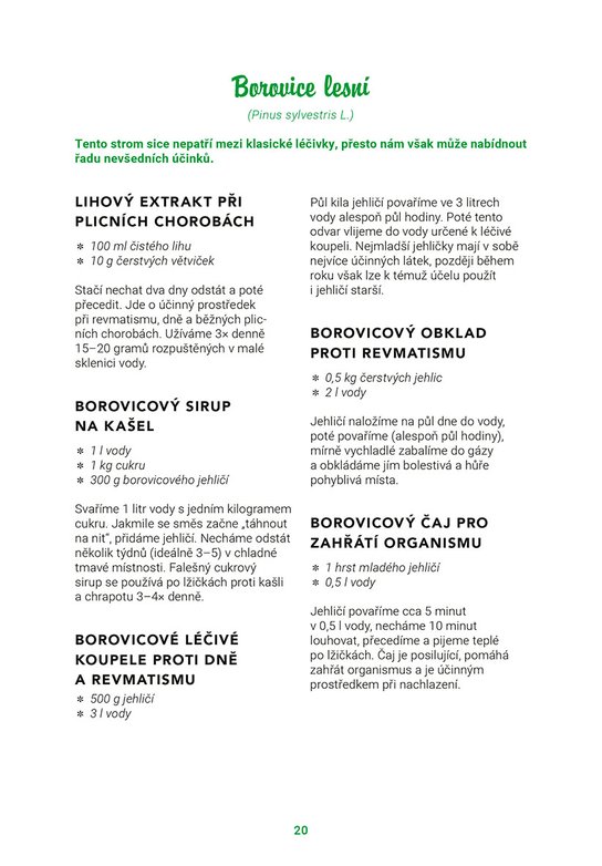 Bylinkopedie v kuchyni