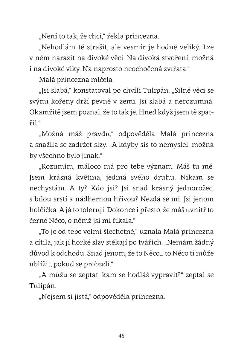 Malá princezna