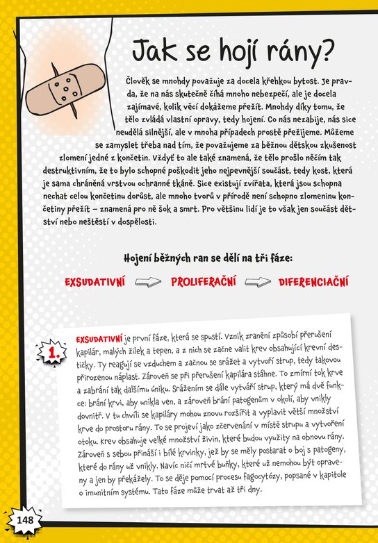 Vědecké kladivo