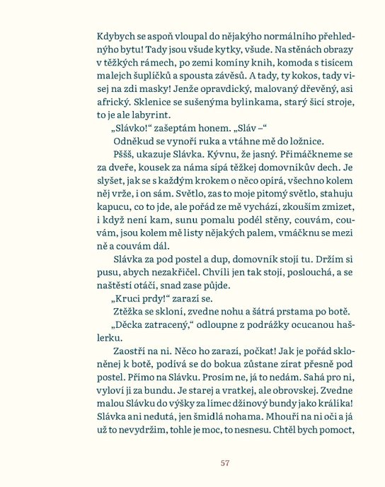 Tonda, Slávka a kouzelné světlo
