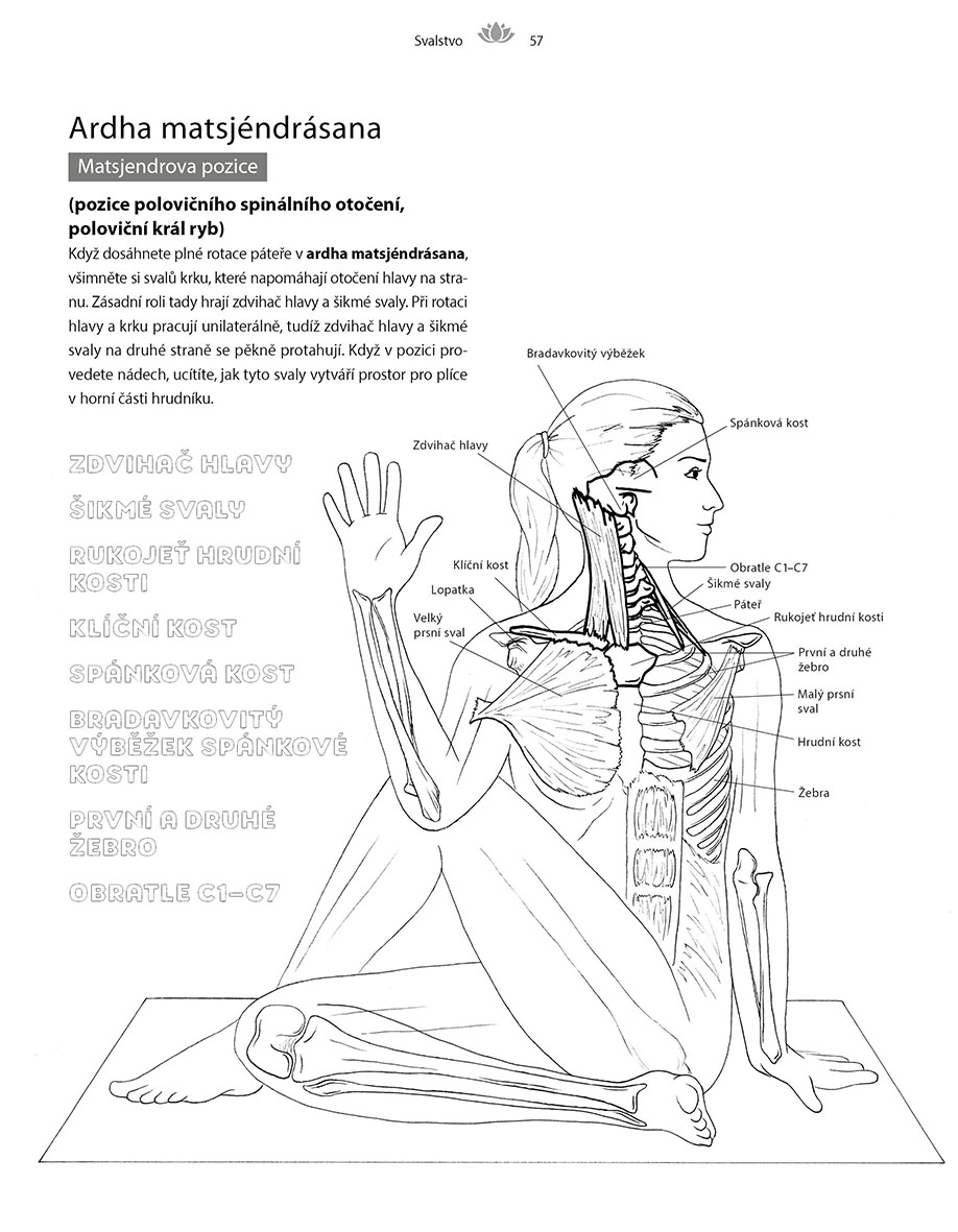 Jóga - anatomický vybarvovací atlas 