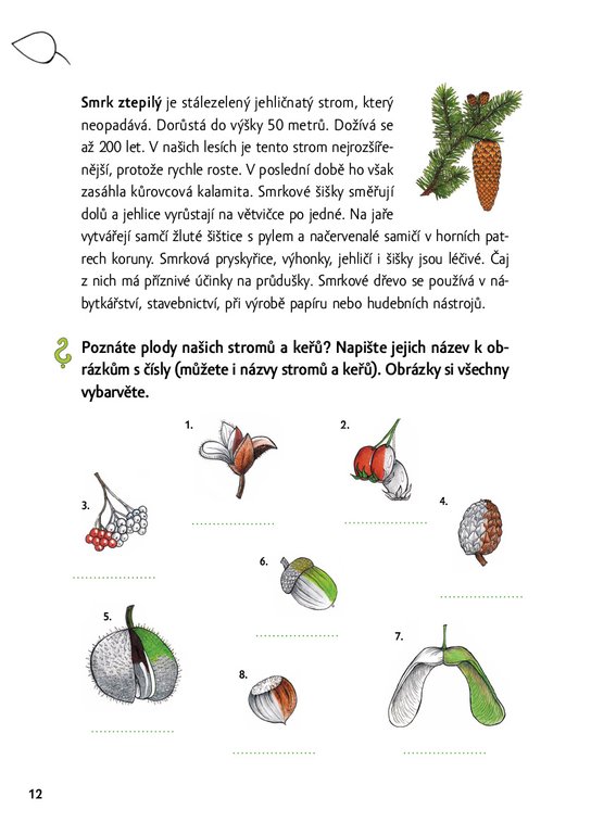Poznávej les – hravý zápisník