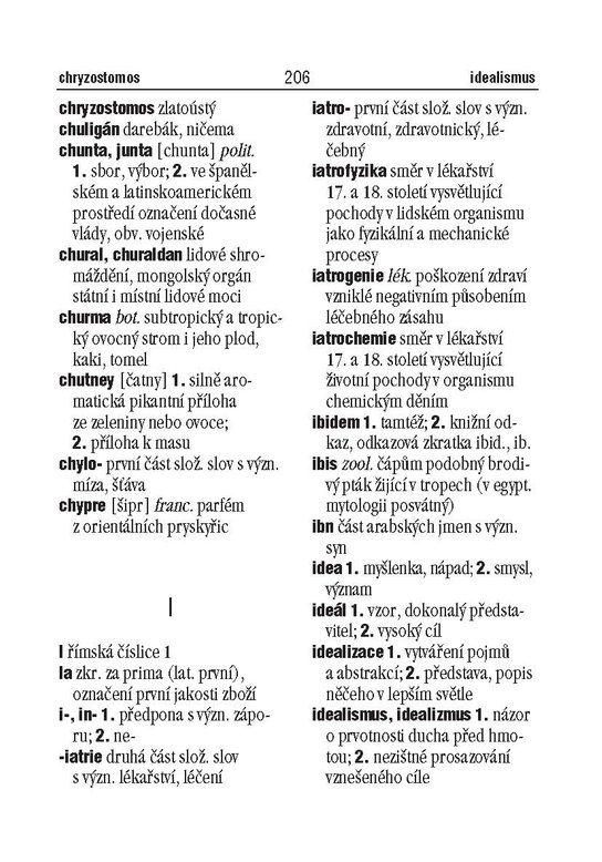 Slovník cizích slov do kapsy