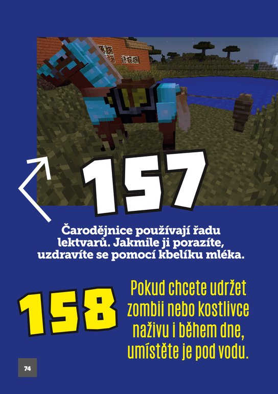 Minecrafťákův svět: 202 skvělých tipů a triků