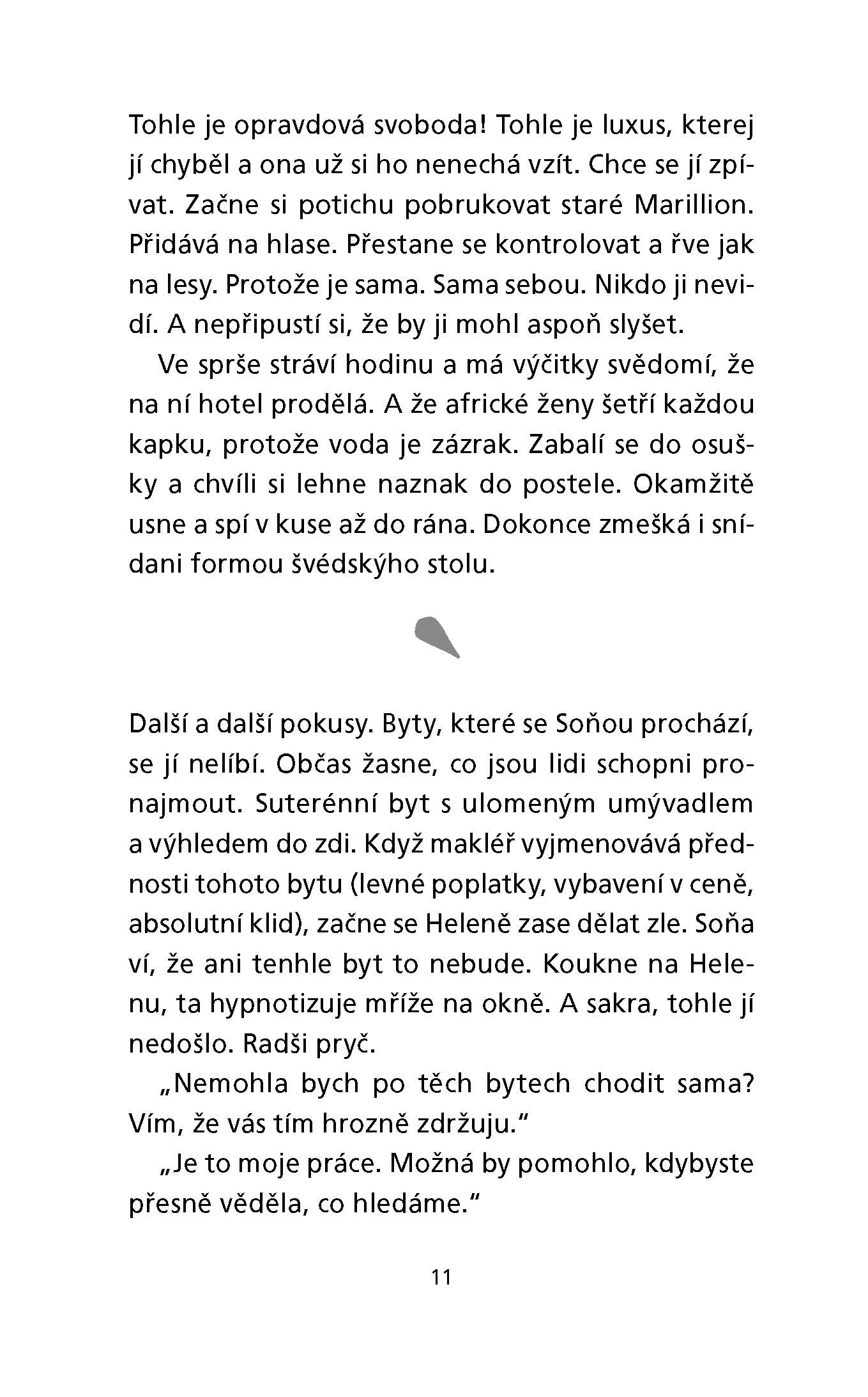 Vířivka