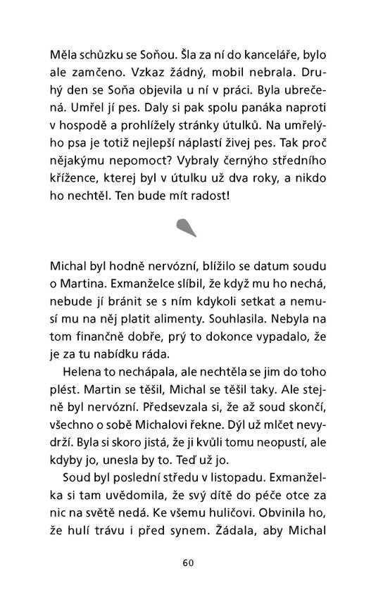 Vířivka