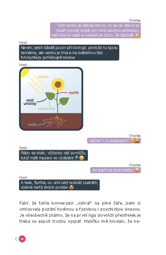 Letní noci