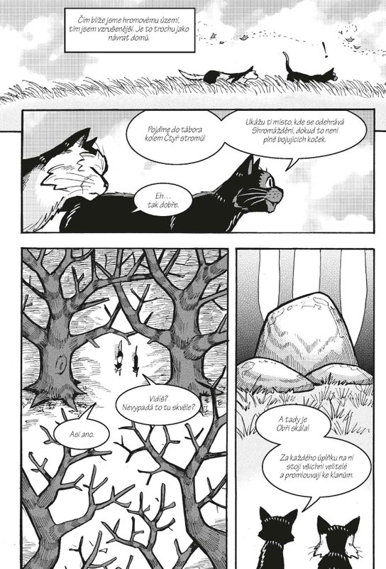 Kočičí válečníci: Havranova cesta (2) - Klan v nouzi