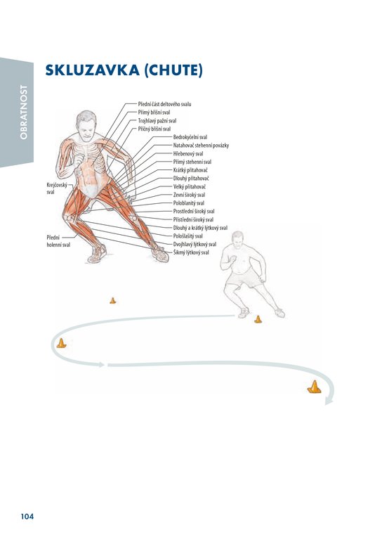 Hokej - anatomie