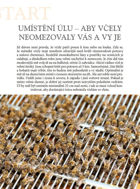 Začínáme včelařit