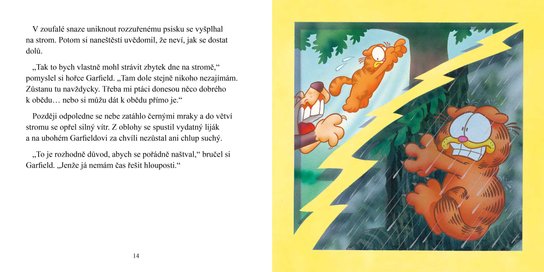 Garfieldovo narozeninové překvapení